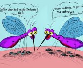 Poznaj najpotężniejszy naturalny lek, jaki do tej pory odkryto na nadciśnienie