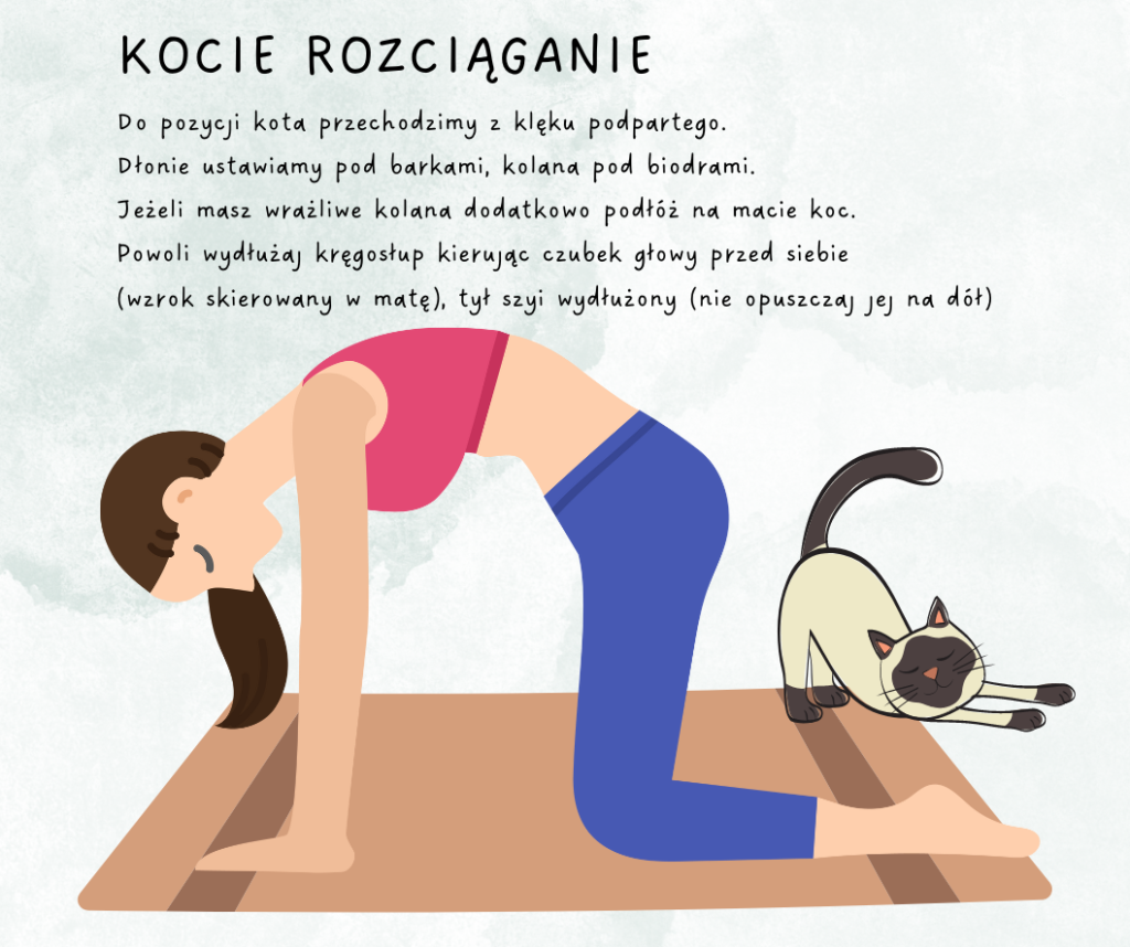 kocie rozciąganie