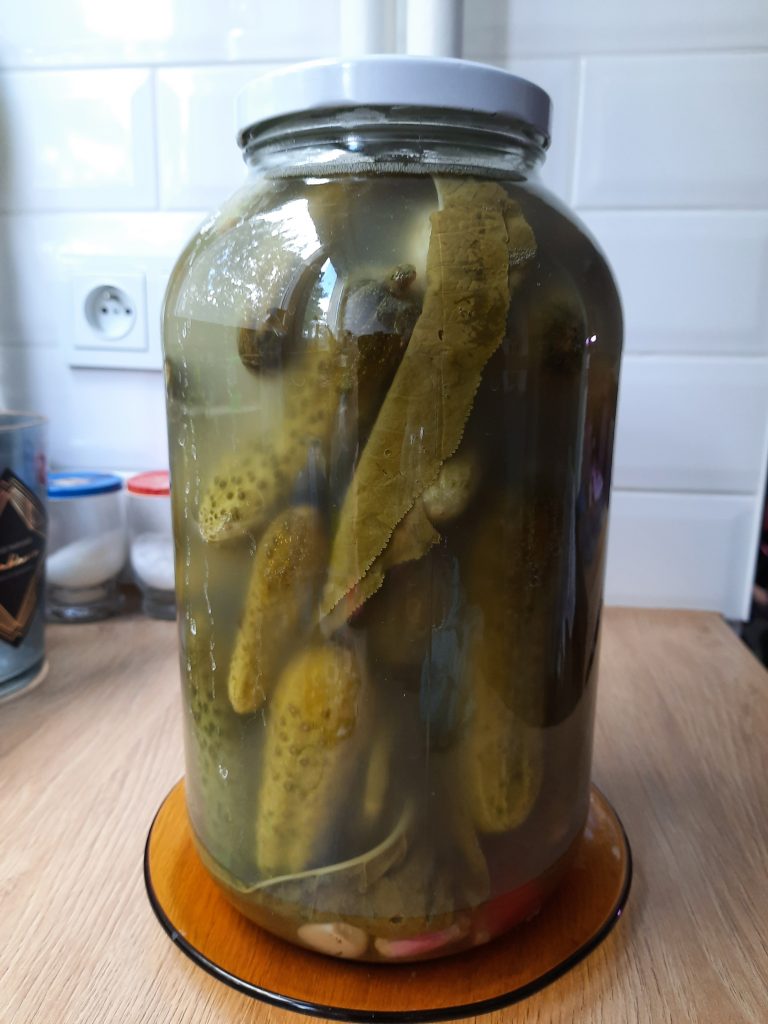 Og&oacute;rki małosolne w słoiku