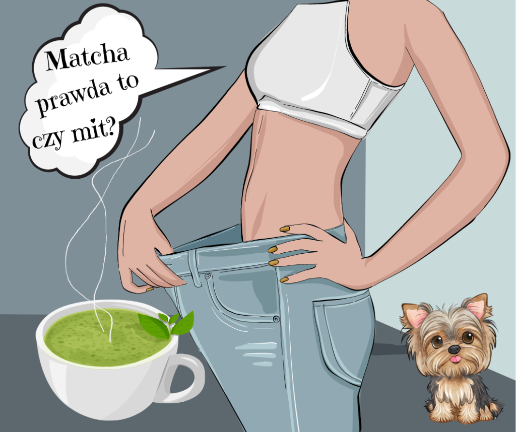 Czy Matcha naprawdę odchudza